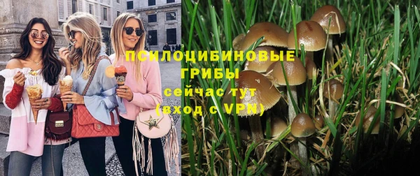 дмт Покров
