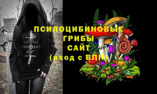 соль ск Покровск
