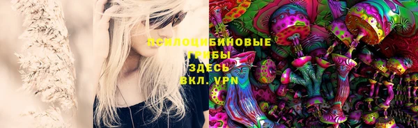 дмт Покров