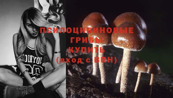 таблы Покачи