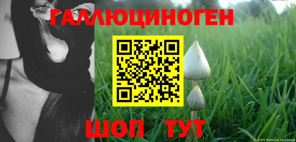 Галлюциногенные грибы MAGIC MUSHROOMS Солнечногорск