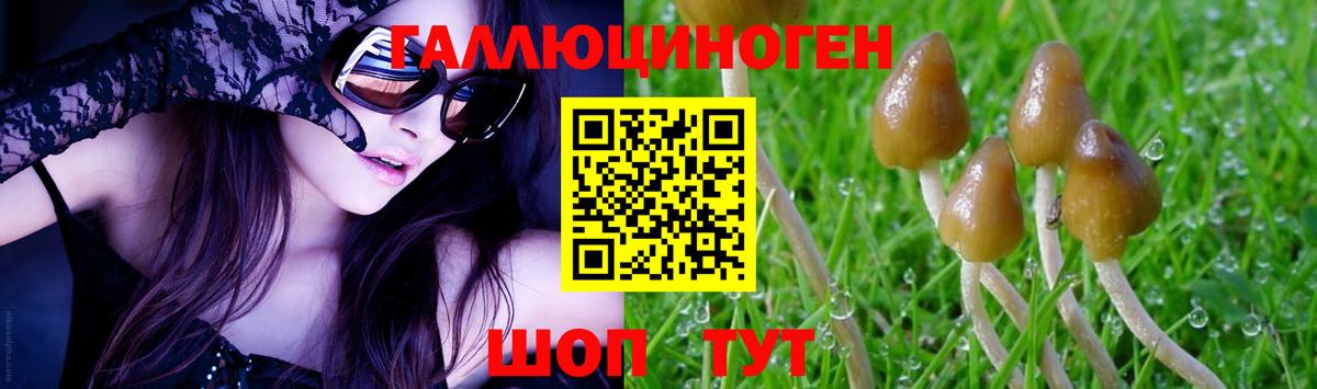 сколько стоит  Вход с VPN  Галлюциногенные грибы Magic Shrooms  Солнечногорск  Псилоцибиновые грибы MAGIC MUSHROOMS 