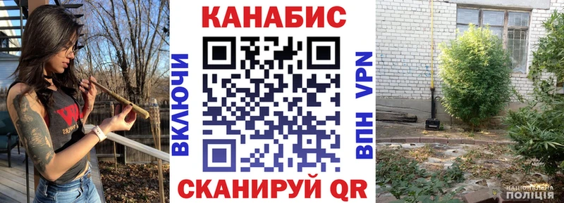 Бошки Шишки план Солнечногорск
