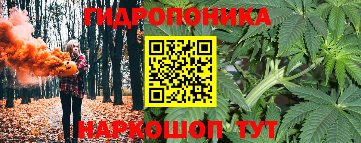 Каннабис индика  Вход с VPN  Конопля конопля  Солнечногорск  Бошки марихуана White Widow 